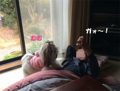 20150128-06.jpg