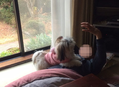 20150128-07.jpg