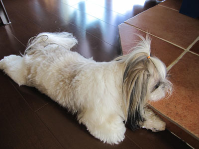 20150408-12.jpg
