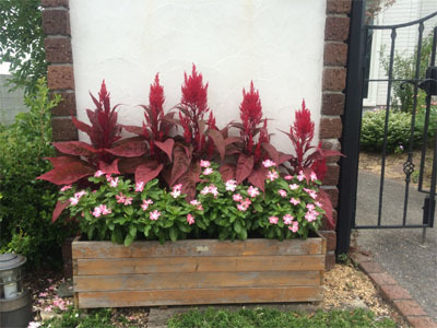 20151005-03.jpg