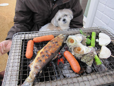 20110507-02.jpg