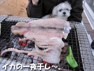 20110507-03.jpg