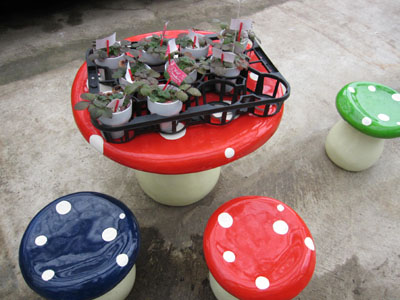 20120323-02.jpg