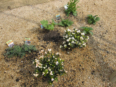 20120323-03.jpg