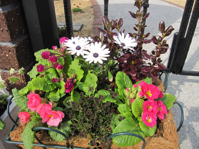 20120323-06.jpg