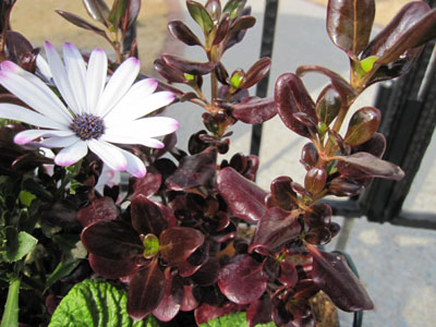 20120323-07.jpg