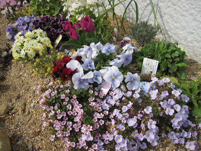 20120323-10.jpg