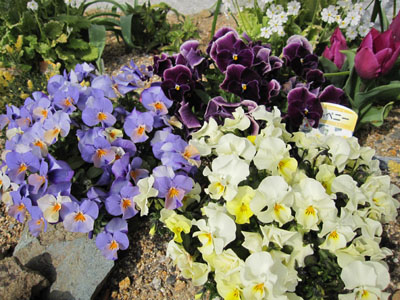 20120323-12.jpg