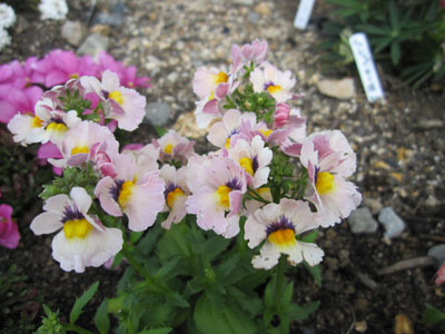 20130301-02.jpg