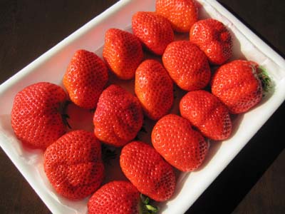 20130305-01.jpg