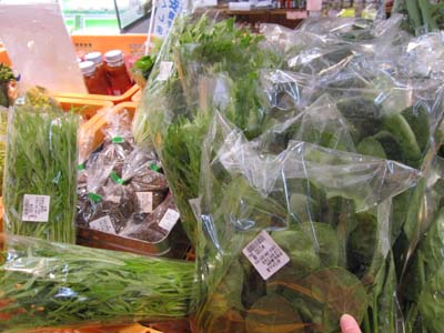 20130305-03.jpg