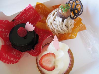 20130305-10.jpg