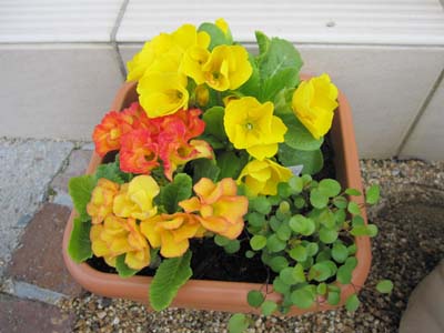 20130305-11.jpg