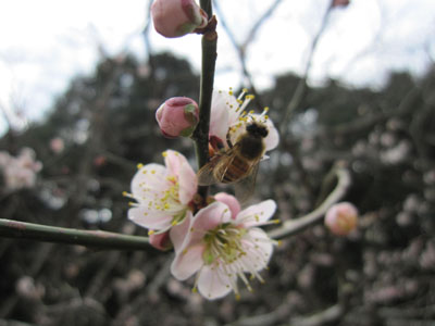 20130313-02.jpg