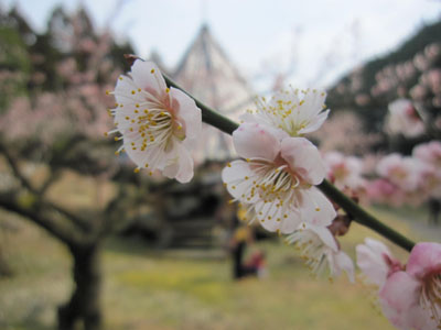 20130313-04.jpg