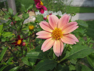 20130712-01.jpg