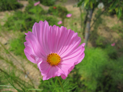 20130712-02.jpg