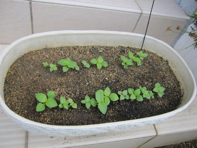 20130712-03.jpg