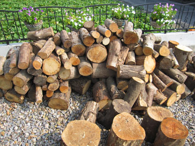 20130913-02.jpg
