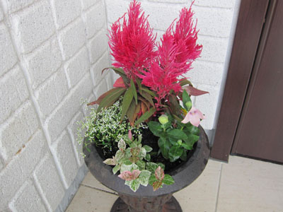 20131001-02.jpg