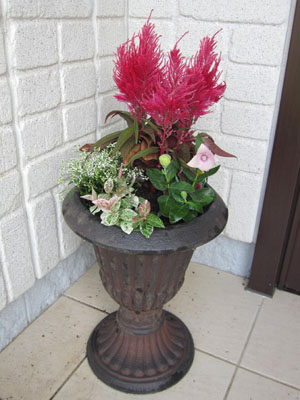20131001-03.jpg