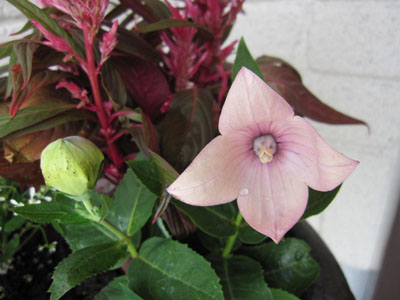 20131001-04.jpg