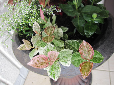 20131001-05.jpg