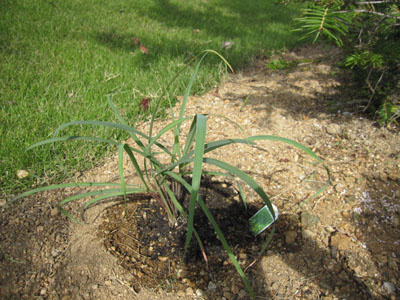 20131001-07.jpg