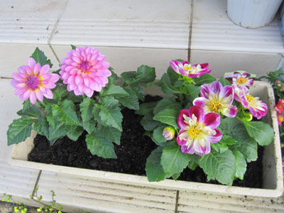 20131001-08.jpg