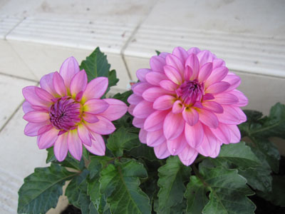 20131001-09.jpg