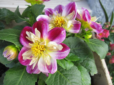 20131001-10.jpg