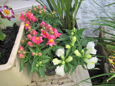 20131001-11.jpg