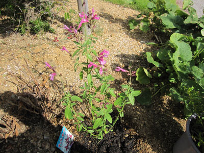 20131001-13.jpg