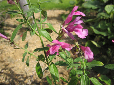 20131001-14.jpg
