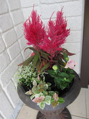 20131001-16.jpg