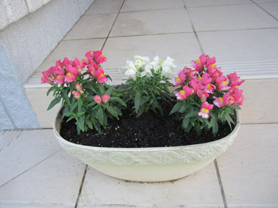 20131004-01.jpg