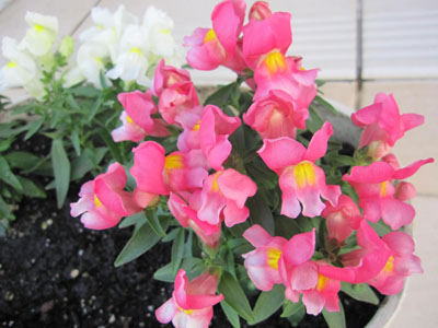 20131004-02.jpg