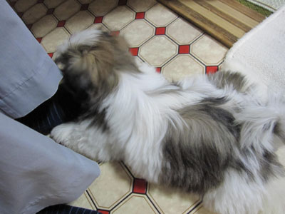 20131014-02.jpg