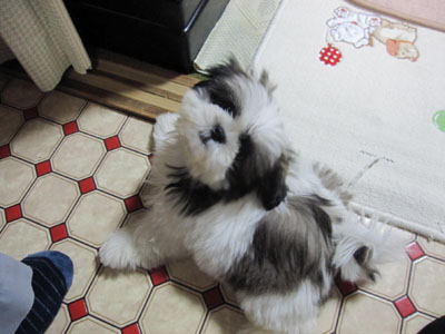 20131014-03.jpg