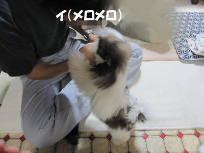 20131014-04.jpg