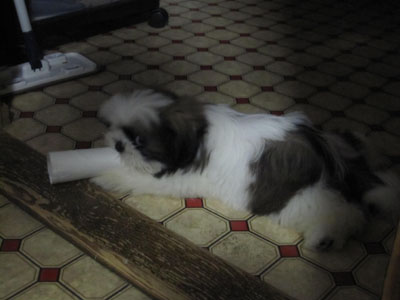 20131014-05.jpg