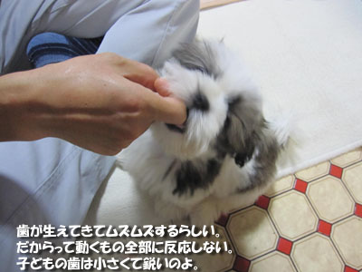 20131014-14.jpg