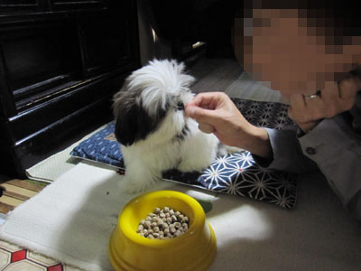 20131029-01.jpg