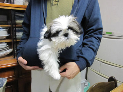 20131029-03.jpg