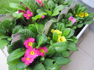 20131029-07.jpg