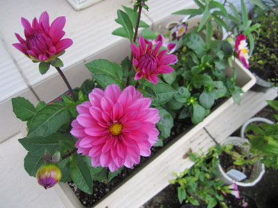20131029-08.jpg