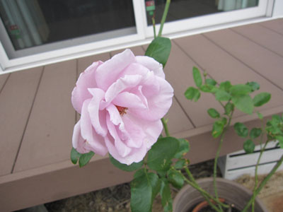 20131029-12.jpg